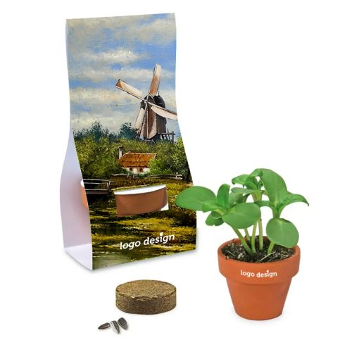 Mini Flowerpot with seeds - Image 1